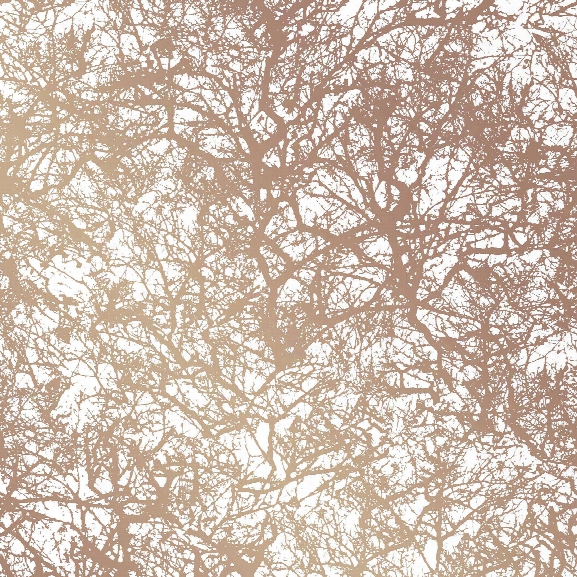 Forest Self Adhesive Wallpaper In Copper Design By Tempaper