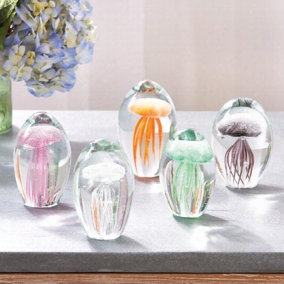 Fossilisee Jellyfish Art Glass Design By Tozai