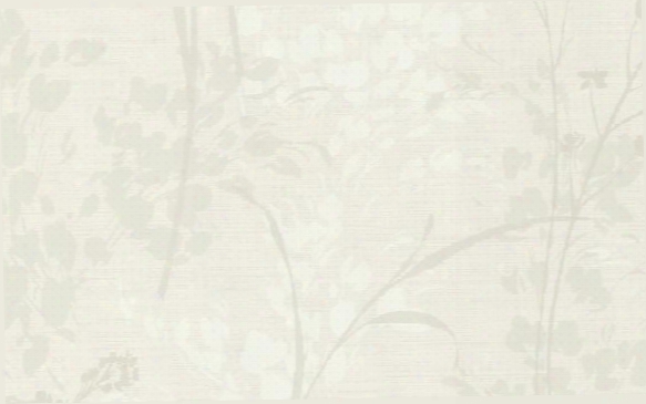 Fumo Floral Wallpaper In Cream And Ivory Design By Seabrook Wallcoverings