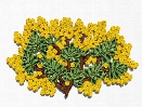 Florigraphie Mimosa Straw Table Mat design by Seletti