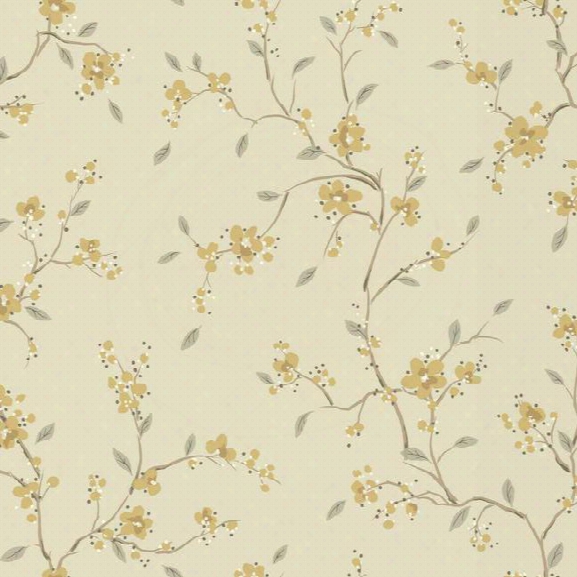 Bella Floral Wallpaper In Grey By Ronald Redding For York Wallcoverings