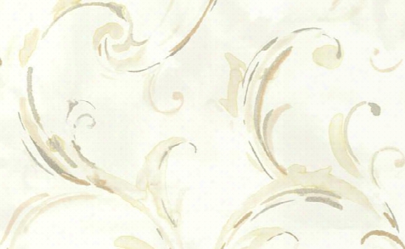 Belle Scrolled Wallpaper In Ivory And Browns By Carl Robinson For Seabrook Wallcoverings