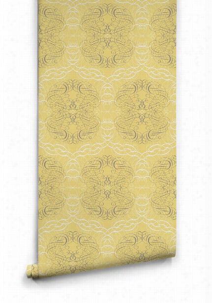 Scripted Lace Wallpaper In Honey Bee From The Kingdom Home Collecttion By Milton & King