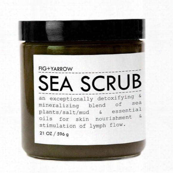 Sea Scrub By Fig & Yarrow