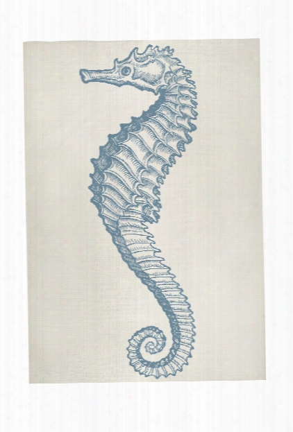 Seahorse Bath Mat In Aqua Design By Thomas Paul