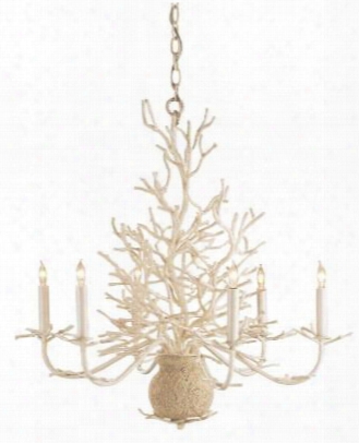 Seaward Chandelier Design By Currey & Company