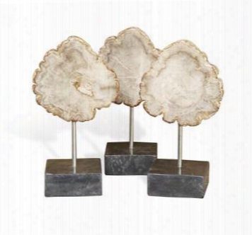 Serang Small Petrified Wood Trio Sculpture Design By Interlude Home