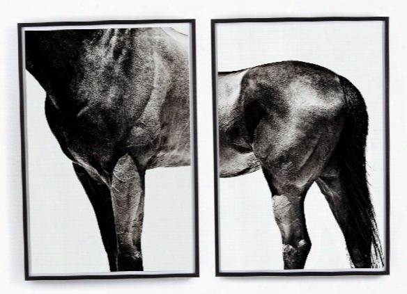 Set Of 2 Horse By Yusuke Murata Wall Art