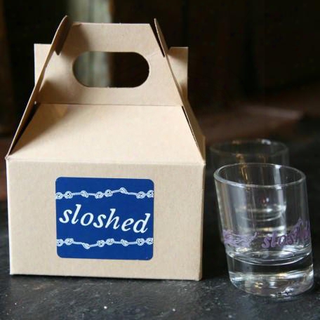 Set Of 2 Sloshed Shot Glasses W/ Mini Gift Box Design By Fishs Eddy