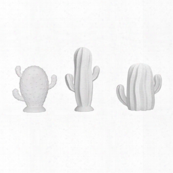 Set Of 3 Matte White Cactus In 3 Styles Design By Bd Edition