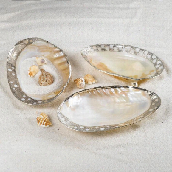 Set Of 3 Ornamented Cabebe Shell Footed Dish W/ Silver Plate Trim Design By Twos Company