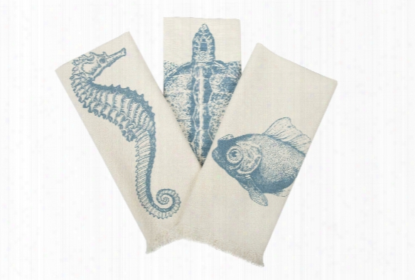 Set Of 3 Sealife Possession Towels In Aqua Design By Thomas Paul