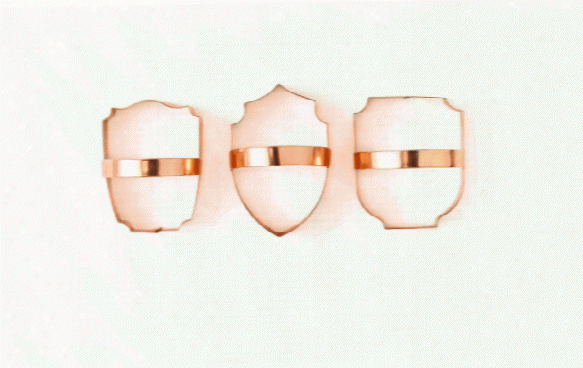 Set Of 3 Shield Copper Cookie Cutters Design By Sir/madam