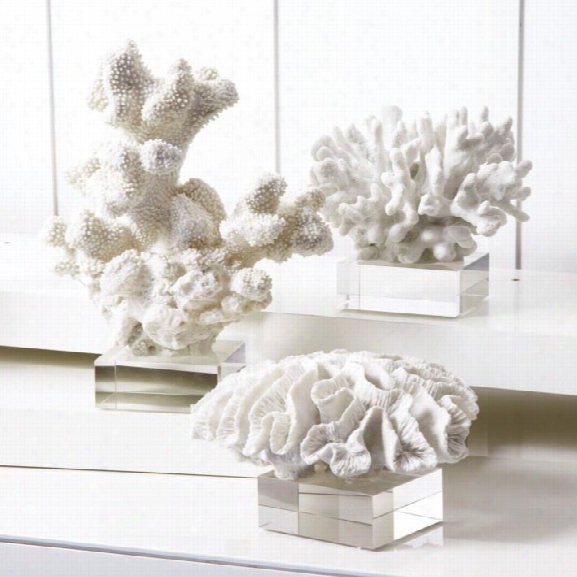 Set Of 3 White Coral Sculpture On Glass Stands By Twos Company