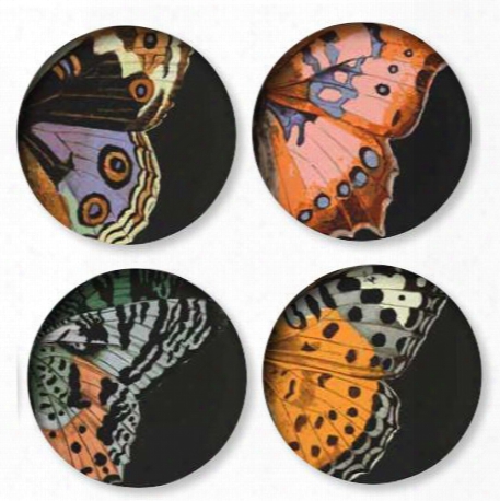 Set Of 4 Metamorphosis Dinner Plates Design By Thomas Paul