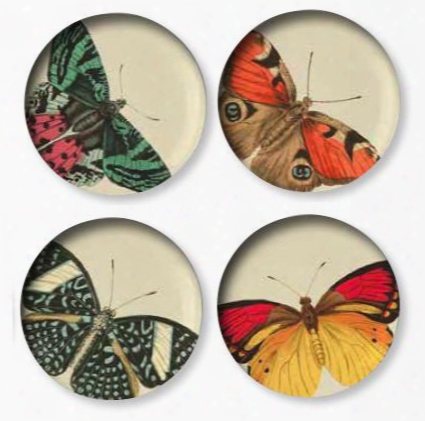 Set Of 4 Metamorphosis Side Plates Design By Thomas Paul
