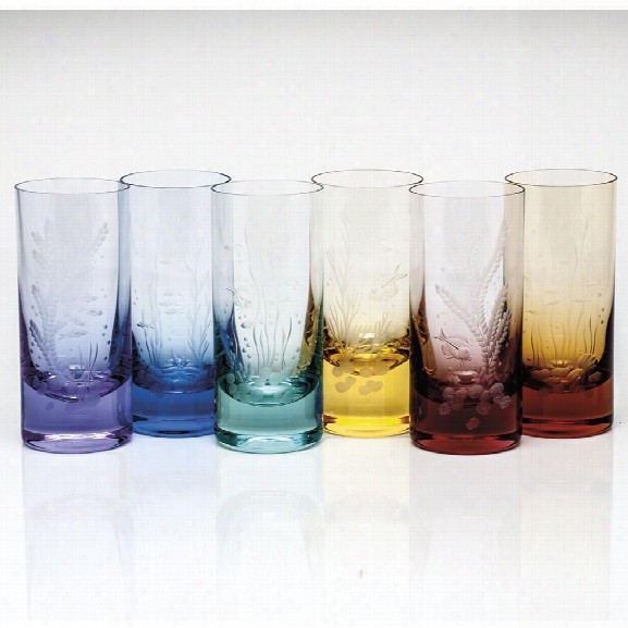 Set Of 6 Ocean Life Color Hiball Glasses Design By Moser