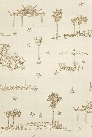 Best Coast Wallpaper in Metallic Gold and Cream by Sandy White for Cavern Home