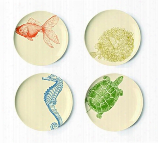 Set Of Four Sealife Collecction Assorted Dessert Plates Design By Thomas Paul