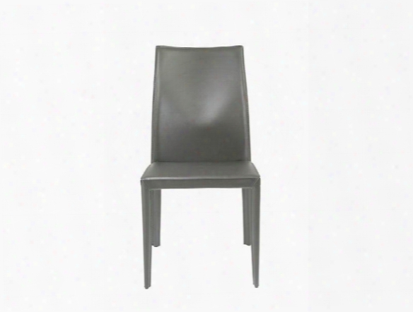 Set Of Two Dafney Side Chairs In Grey Leather Design By Euro Style