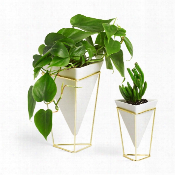 Set Of Two Trigg Vase In White Design By Umbra