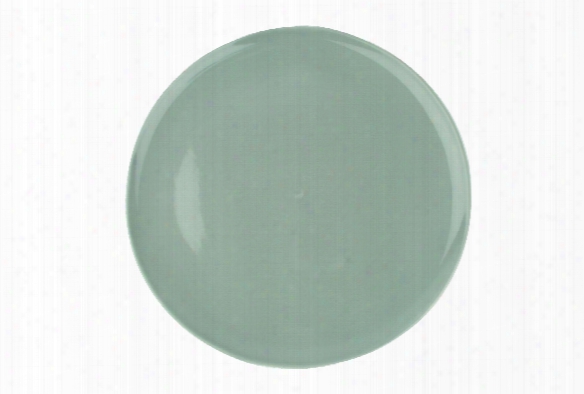 Shell Bisque Dinner Plate In Grey Design By Canvas