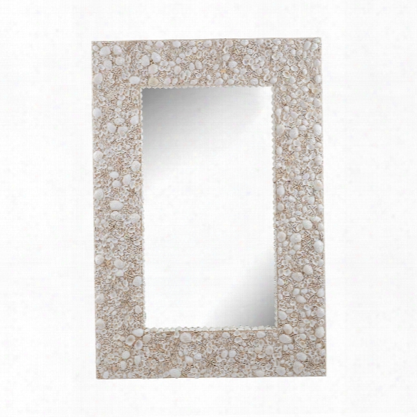 Shell Wall Mirror Design By Lazy Susan