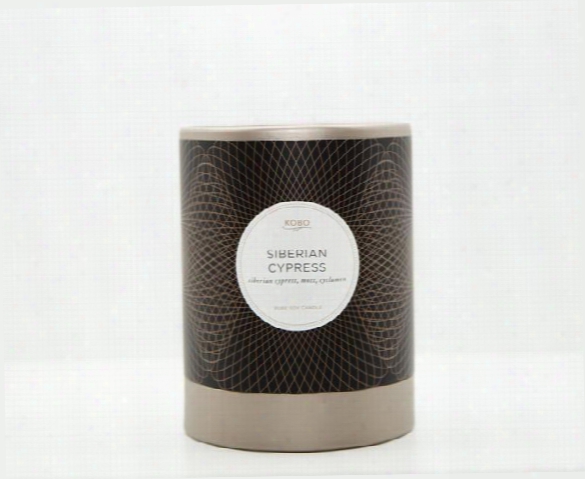 Siberian Cypress Candle Design By Kobo Candles