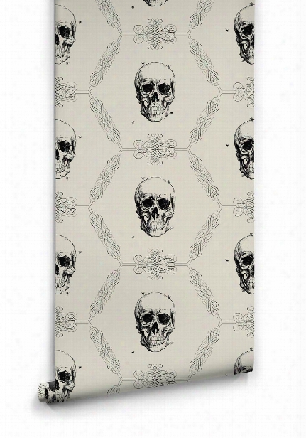 Skull & Bee Wallpaper In Bone From The Kingdom Home Collection By Milton & King