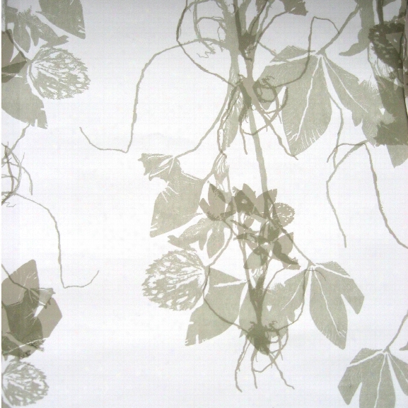 Sleeping Briar Rose Wallpaper In Honeyflower Design By Jill Malek