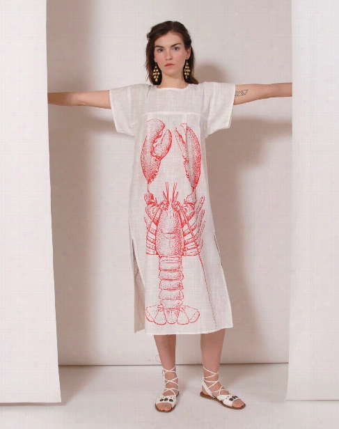 Small Lobster Beach Cover Up Design By Thomas Paul