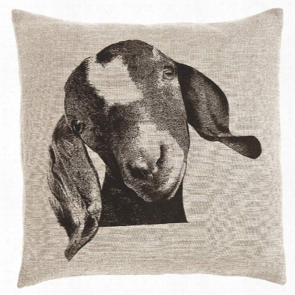 Billy Decorative Pillow Design By Fresh American