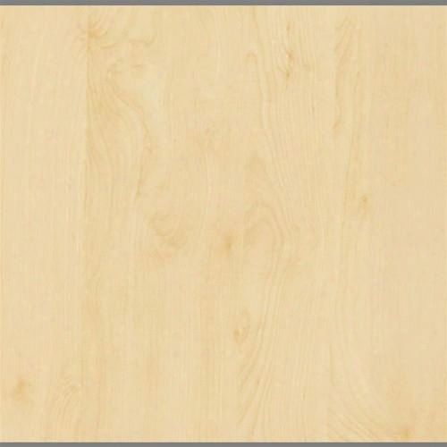 Birch Wood Peel And Stick Contact Wallpaper - Burke Decor