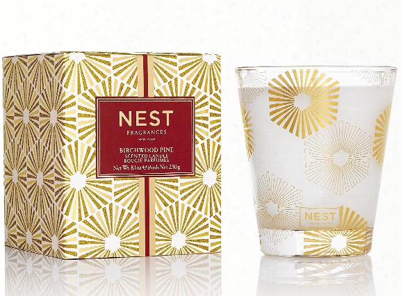 Birchwood Pine Classic Candle Design By Nest Fragrances