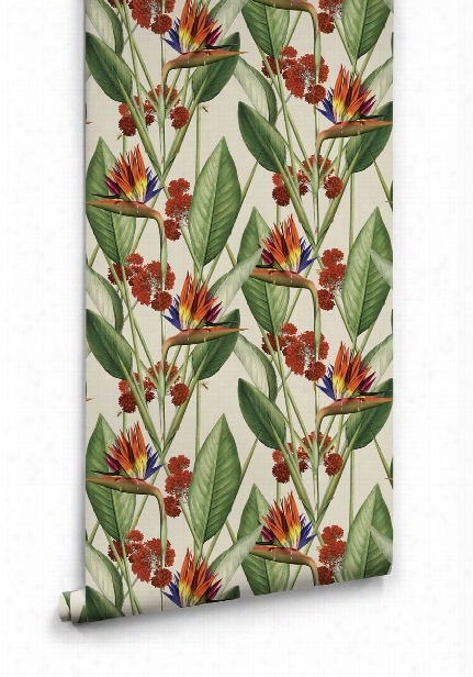 Birds Of Paradise Wallpaper In Canvas From The Kingdom Home Collection By Milton & King