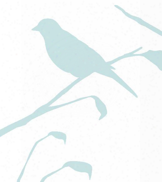 Blackbird Wallpaper In Glass Reversed Design By Cavern Home