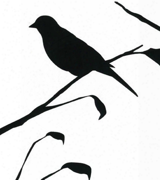 Blackbird Wallpaper In White Design By Cavern Home