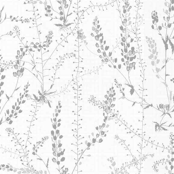 Bladranker Grey Botanical Wallpaper From The Scandinavian Designers Ii Collection By Brewster