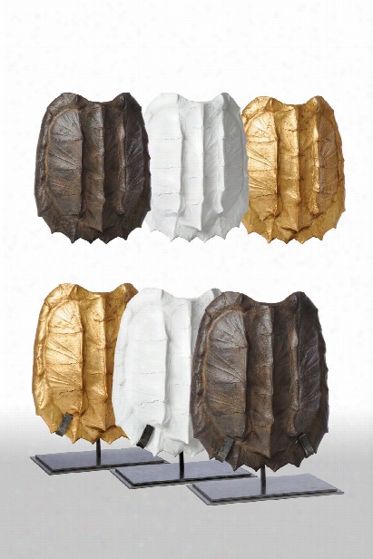 Snapping Turtle Shell Wall Art In Assorted Finishes Design By Barbara Cosgrove