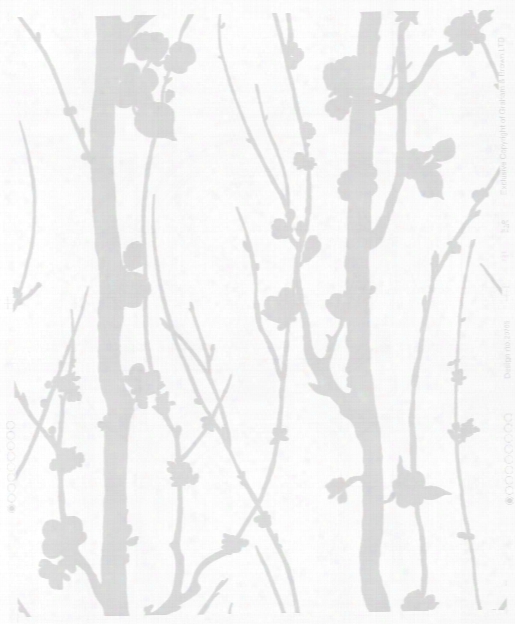 Solitude Glitter Wallpaper In Silver And White From The Elegance Collection By Graham & Brown