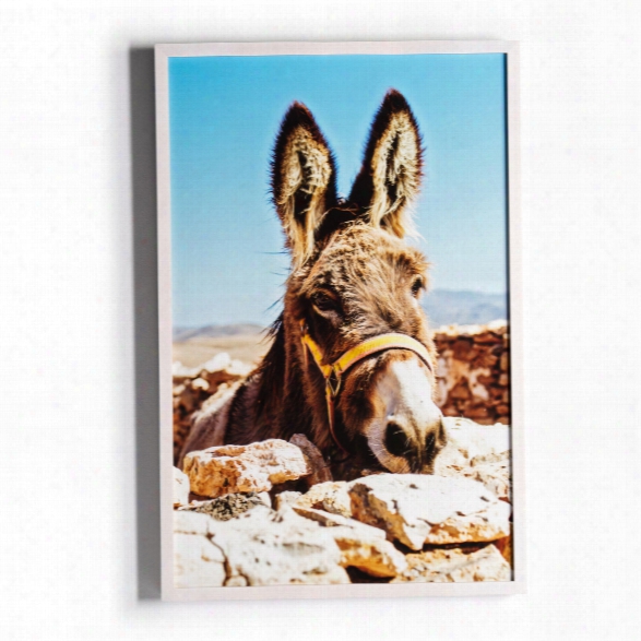 Spanish Burro Wall Art