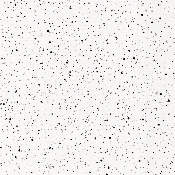 Splatter Self Adhesive Wallpaper In Black On White By Boby Berk For Tempaper