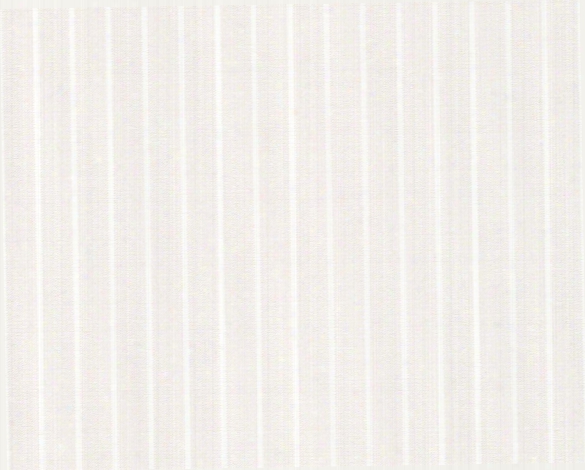 Stripes Graphic Wallpaper In Cream And Metallic Design By Bd Wall