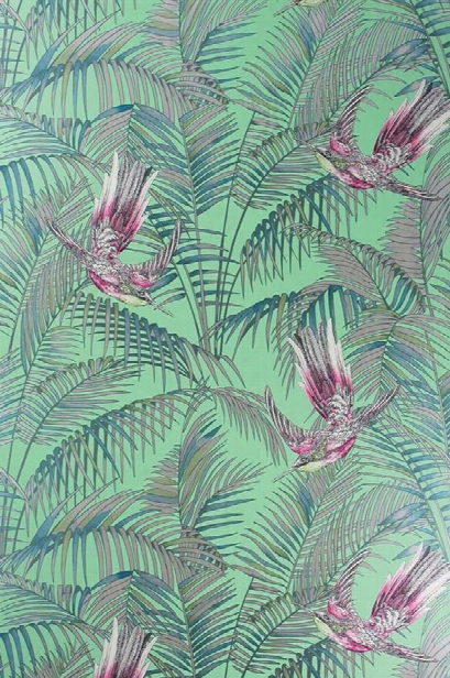 Sunbird Wallpaper In Grass, Cerise, And Metallic Gilver By Matthew Williamson For Osborne & Little