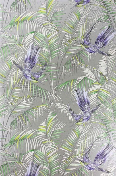 Sunbird Wallpaper In Metallic Pebble And Blue By Matthew Williamson For Osborne & Little