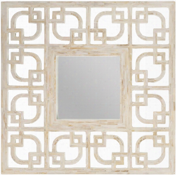 Surya Wall Decor Wall Mirror In Ivory Design By Surya