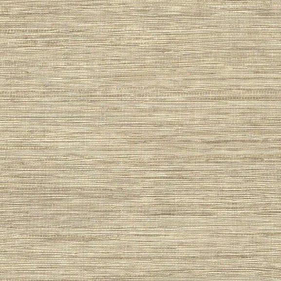 Tapis Beige Faux Grasscloth Wallpaper From The Beyond Basics Collection By Brewster Home Fashions