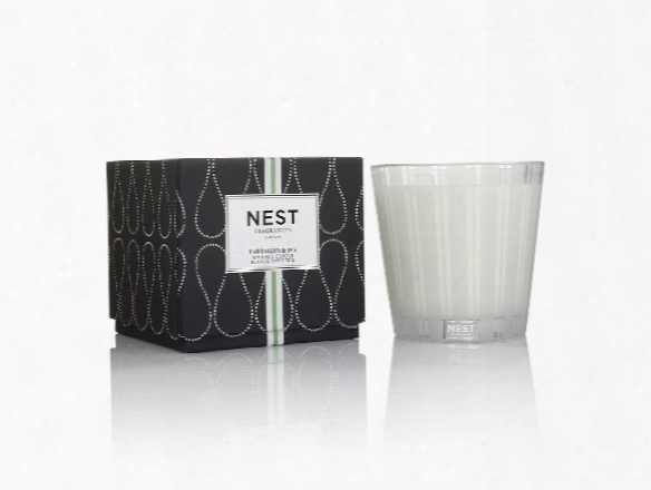 Tarragon & Ivy 3 Wick Candle Design By Nest Fragrances