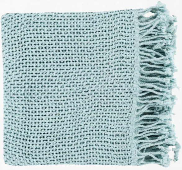 Tibey Throw Blankets In Pale Blue Color By Surya