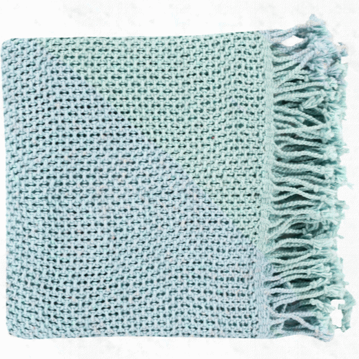 Tibey Throw In Pale Blue Design By Surya